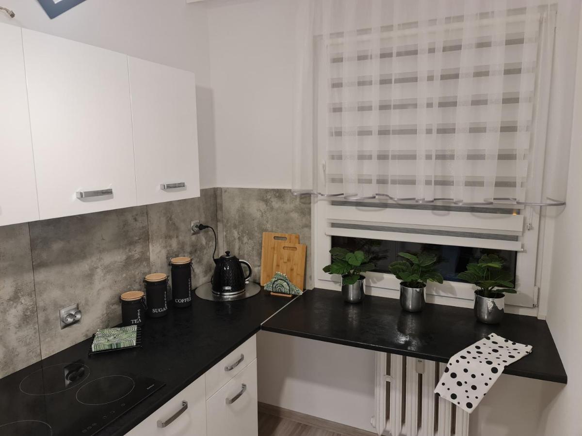 Apartament Nova Przy S3 Διαμέρισμα Nowa Sol Εξωτερικό φωτογραφία